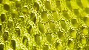 Replacement of ANSI High-Visibility Vests & Clothing